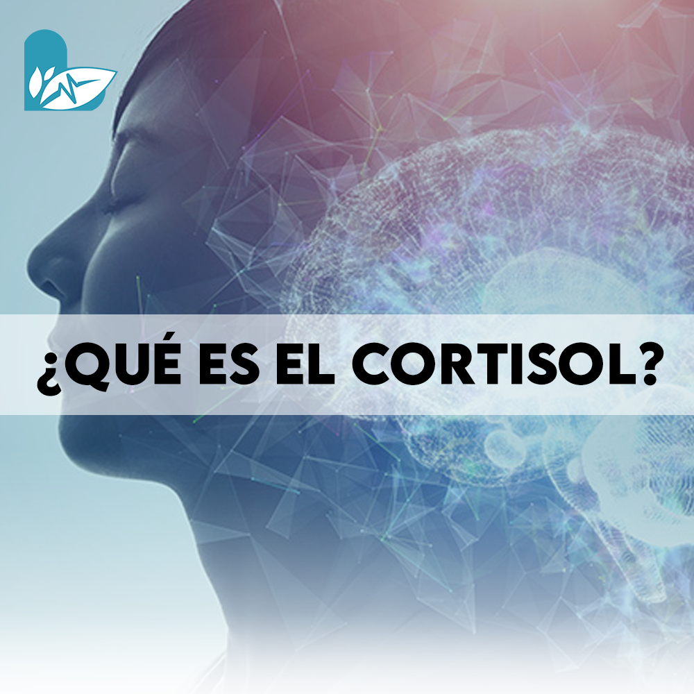 El Papel del Cortisol en la Regulación Metabólica