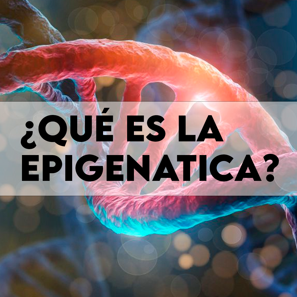 No es la genética… es la epigenética lo que podemos transformar